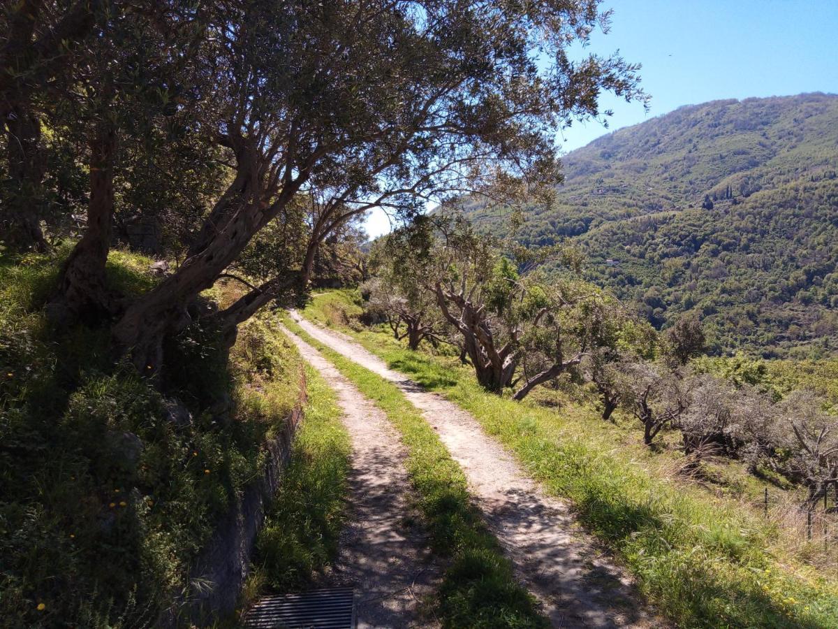 L'Antica Quercia B&B Castell'Umberto ภายนอก รูปภาพ