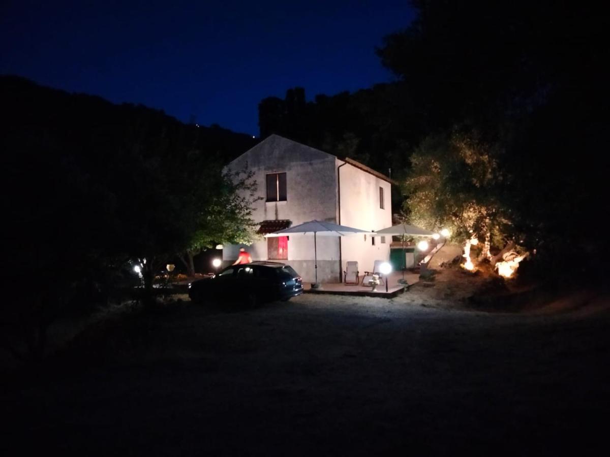 L'Antica Quercia B&B Castell'Umberto ภายนอก รูปภาพ