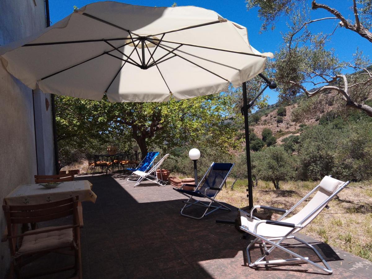 L'Antica Quercia B&B Castell'Umberto ภายนอก รูปภาพ