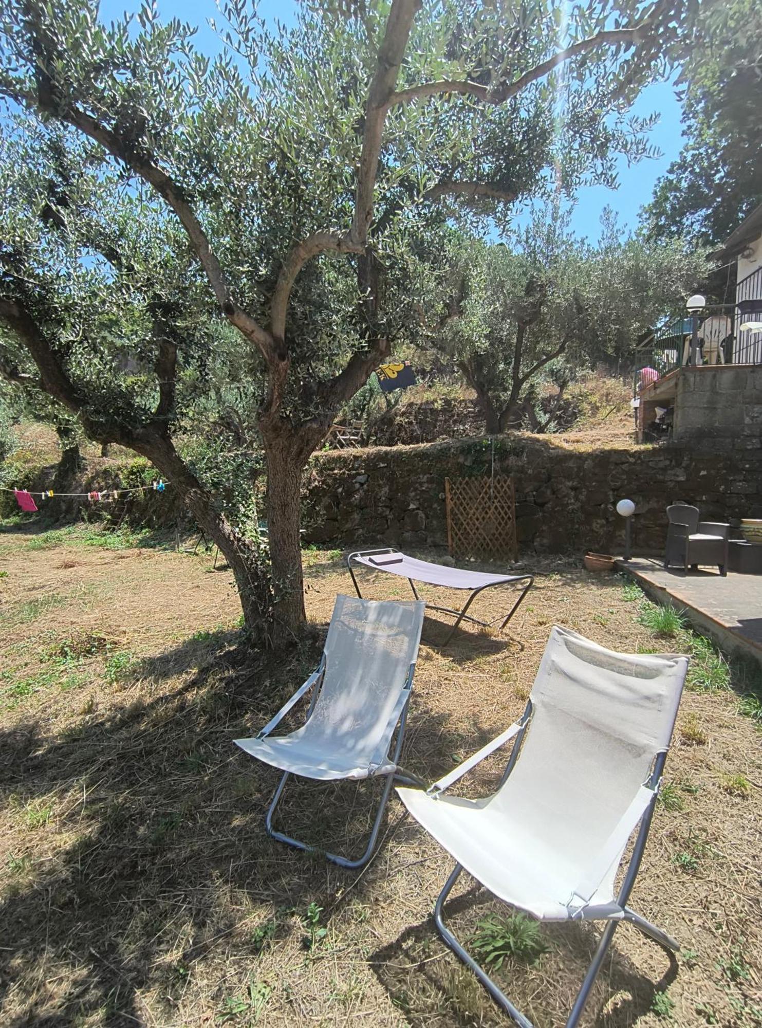 L'Antica Quercia B&B Castell'Umberto ภายนอก รูปภาพ